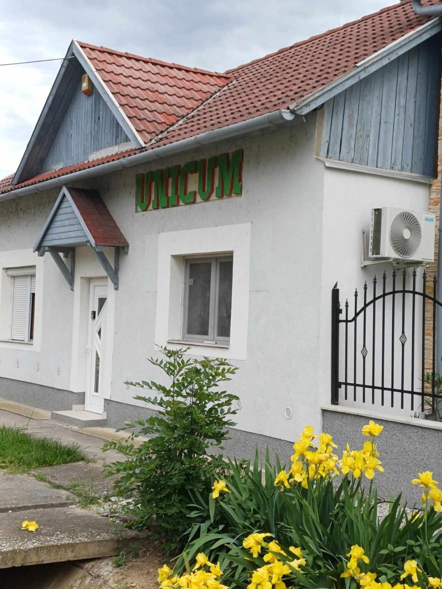Unicum Vendégház Abádszalók Exterior foto